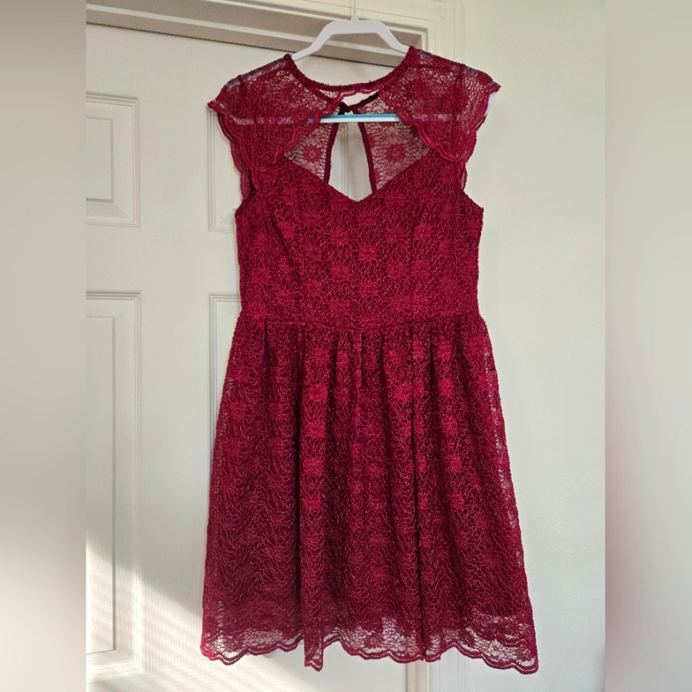 Francesca's Lace Dress